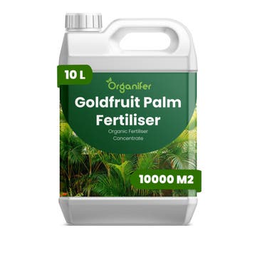 Goldfruit Palm vloeibare meststof - 10 liter, Verzenden, Mest