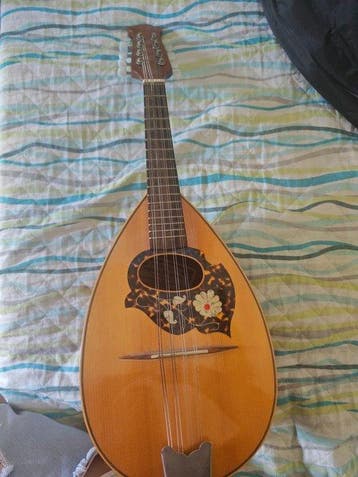 Alfredo Privitera - - Mandoline - Italië - 1975, Nieuw
