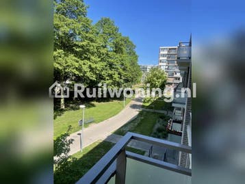 Vanuit Schiedam naar Rotterdam centrum of noord,