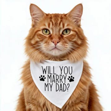 Katten bandana Will You Marry my Dad, Ophalen of Verzenden, Nieuw