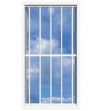 SecuBar Lichtkoepelbeveiliging Fix & Go - 5 spijls 1000x2000, Verzenden, Nieuw