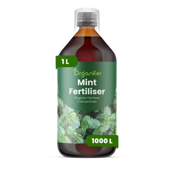 Vloeibare meststof Munt - 1 liter, Verzenden, Mest