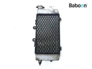 Radiateur Rechts Honda XL 1000 Varadero 2003-2010 (XL1000V, Motoren, Onderdelen | Honda, Verzenden, Gebruikt