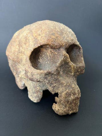 Kabinet van curiositeiten - Steen - 1900-1910 - Memento Mori, Antiek en Kunst