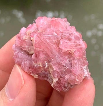 Geen reserveprijs Toermalijn kristal tros specimen intense, Verzamelen, Mineralen en Fossielen