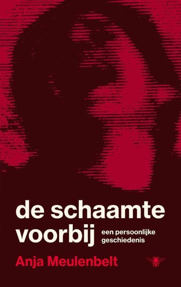 De Schaamte Voorbij | Anja Meulenbelt | Nieuw, Boeken, Ophalen of Verzenden, Nieuw, Anja Meulenbelt