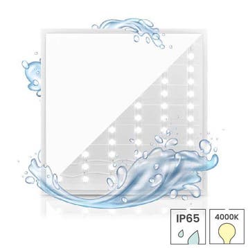 LED paneel waterdicht | Back-Lit | 60x60 cm | 36 watt | IP65, Verzenden, Nieuw in verpakking, Overige typen