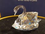 Swarovski - Beeldje - Swan Clear middle - 1075309 - Box +