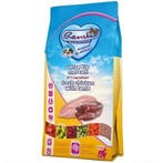 RENSKE SUPER PREMIUM PUPPY KIP / LAM (HOND), Verzenden