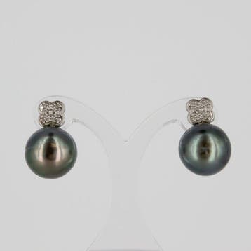 Oorbellen - 18 karaat Witgoud Diamant (Natuurlijk) - Parel, Nieuw