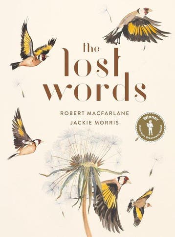 9780241253588 The Lost Words Robert Macfarlane, Boeken, Verzenden, Nieuw, Robert Macfarlane