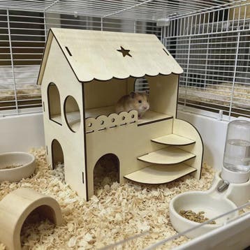 Houten Hamsterhuis met Twee Verdiepingen en Trapje - Speelhu, Dieren en Toebehoren, Verzenden, Nieuw