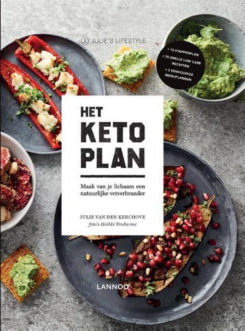 Het Keto-plan - Julie van den Kerchove 9789401453356, Boeken, Verzenden, Zo goed als nieuw, Julie van den Kerchove