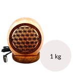 Mini Himalaya Zoutlamp USB Himalaya Flower of Life 1 kg, Ophalen of Verzenden, Nieuw