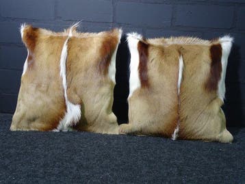 Springbok Cushion Covers - Taxidermie volledige montage -