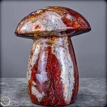 Eisenachat Pilz – Fascinerende natuurkunst in uitzonderlijke