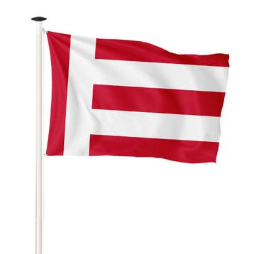 Vlag Eindhoven 150x225cm (voor masten 6 en 7 meter), Diversen, Nieuw