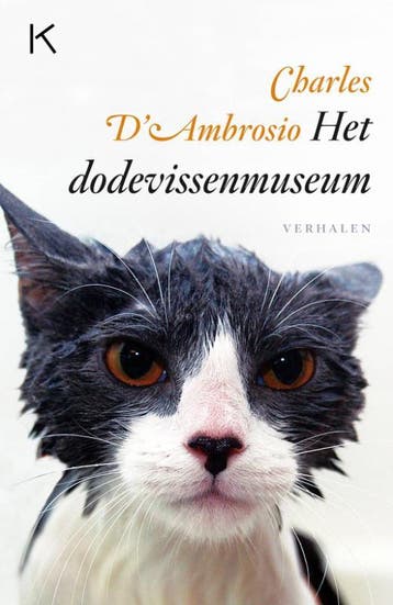 Het Dodevissenmuseum | Charles Ambrosio | Nieuw, Ophalen of Verzenden, Nieuw, Charles Ambrosio