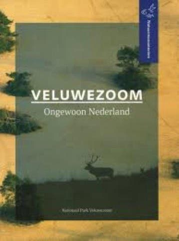 Veluwezoom - Monica Wesseling 9789070099008, Verzenden, Zo goed als nieuw, Monica Wesseling
