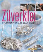 ZILVERKLEI 9789058775993 N. Coster, Verzenden, Gelezen, N. Coster