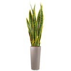 Sansevieria kunstplant, H115cm, Ophalen of Verzenden, Overige soorten, 100 tot 150 cm
