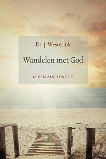 Wandelen met God - Westerink 9789033129704, Boeken, Verzenden, Zo goed als nieuw, Westerink