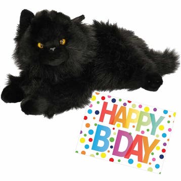 Pluche kat knuffel - zwart - 30 cm - met verjaardagskaart, Verzenden, Nieuw