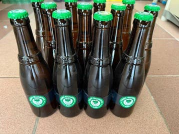 Westvleteren - VI - 33cl - 12 flessen, Nieuw