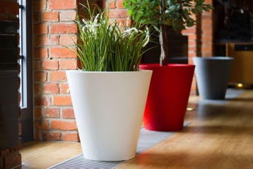 Design Bloempot Wit | 50x50x50 | Laatste Stuks!, Kunststof, Minder dan 60 cm, Vierkant, Nieuw