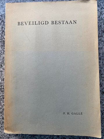 Beveiligd bestaan  (Pieter Hendrik Gallé), Boeken, 20e eeuw of later, Gelezen, Pieter Hendrik Gallé, Verzenden