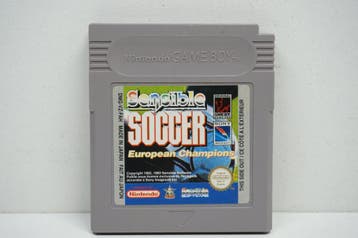 Sensible Soccer: European Champions DMG-VZ-FAH Met garantie!, Ophalen of Verzenden, Zo goed als nieuw