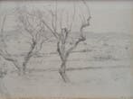 Ker-Xavier Roussel (1867-1944) - Grillige bomen in de lente, Antiek en Kunst