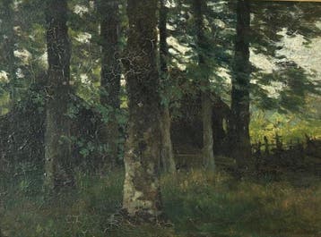 Maria Philippina Bilders van Bosse (1837-1900 - Bosaanzicht, Antiek en Kunst