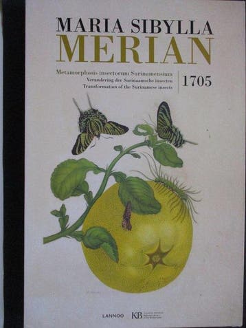 Maria Sibylla Merian - Metamorphosis insectorum, Antiek en Kunst