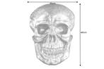 Exclusief wandsculptuur SKULL XXL 40cm gouden decoratieve, Ophalen of Verzenden, Nieuw