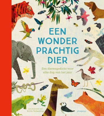 Een Wonderprachtig Dier |  | Nieuw, Ophalen of Verzenden, Nieuw