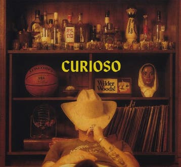 cd digi - Wilder Woods - Curioso, Verzenden, Zo goed als nieuw