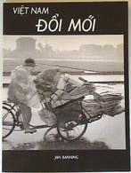 Viet Nam Doi moi 9789072216380 J. Banning, Boeken, Verzenden, Zo goed als nieuw, J. Banning