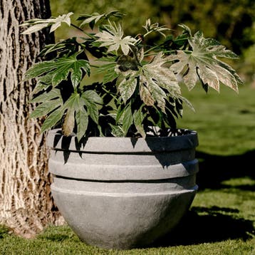 Vesta L 60x45 cm  Grey, Tuin en Terras, Verzenden, Nieuw, Rond, Beton