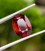 Zonder minimumprijs Rood, Oranje Granaat, Spessartiet - 5.35, Nieuw