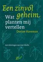 Een zinvol geheim 9789077408469 D. Haveman, Verzenden, Gelezen, D. Haveman