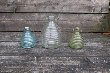Fles (3) - Glas - wespenvangers
