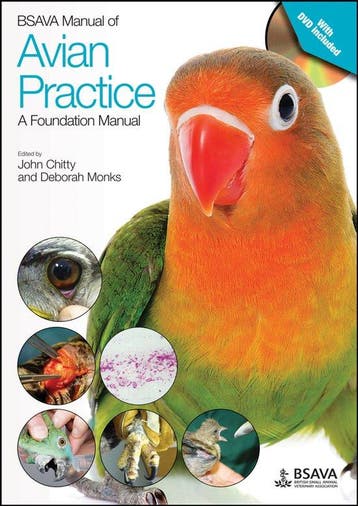 9781905319817 BSAVA Manual of Avian Practice: A Foundatio..., Boeken, Verzenden, Nieuw, J Chitty