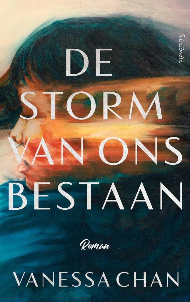 De storm van ons bestaan 9789044651577 Vanessa Chan, Boeken, Literatuur, Gelezen, Verzenden