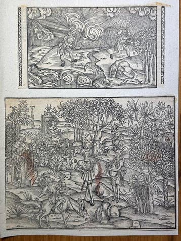 Johann Grüninger, Straßburg 1502 / Sebastian Brant - 2