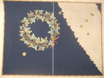 Celestial - Zuidelijke Celest. hemisfeer; Johann Bayer -, Boeken, Nieuw