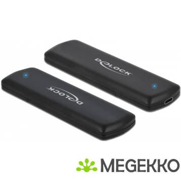 DeLOCK 42633 External USB Type-C Combo Enclosure for M.2, Verzenden, Nieuw