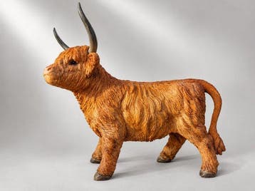 Beeld, Schotse hooglander - 36 cm - polyresin