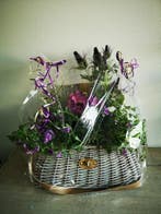 Mand picknick pluk reiskoffer rotan whitewash groot met, Ophalen of Verzenden, Nieuw