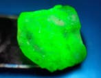 7 ct - Onbehandelde natuurlijke smaragd - Ruw- 1.4 g, Verzamelen, Mineralen en Fossielen